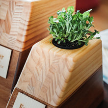 Load image into Gallery viewer, Wooden Plant Urn