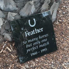 Load image into Gallery viewer, Granite Plaque (P3-P4)