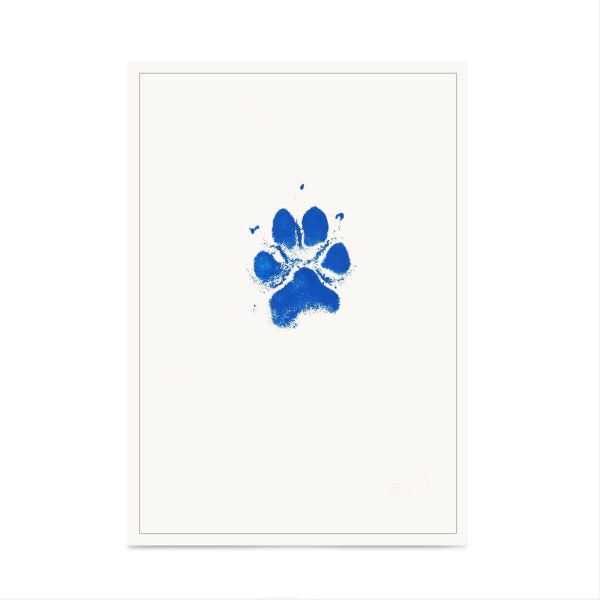 Colourful Ink Paw Print | Patch & Purr – Patch & Purr Pet Cremations