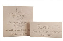 Load image into Gallery viewer, Sandstone Plaque (P6-P7)
